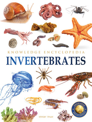 cover image of Animals--Invertebrates